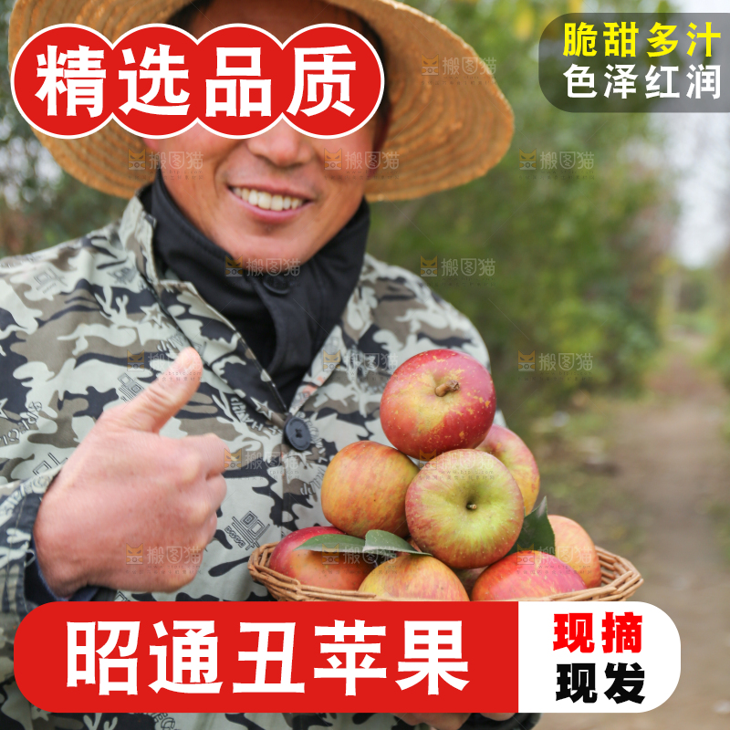 手里拿着昭通丑苹果