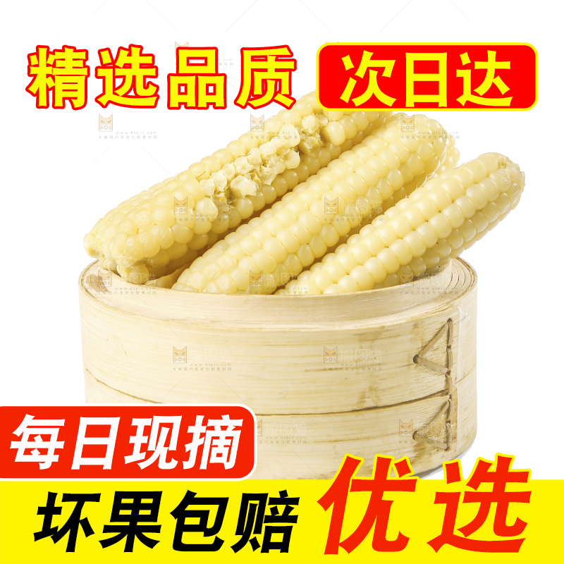 白底上的手指糯玉米