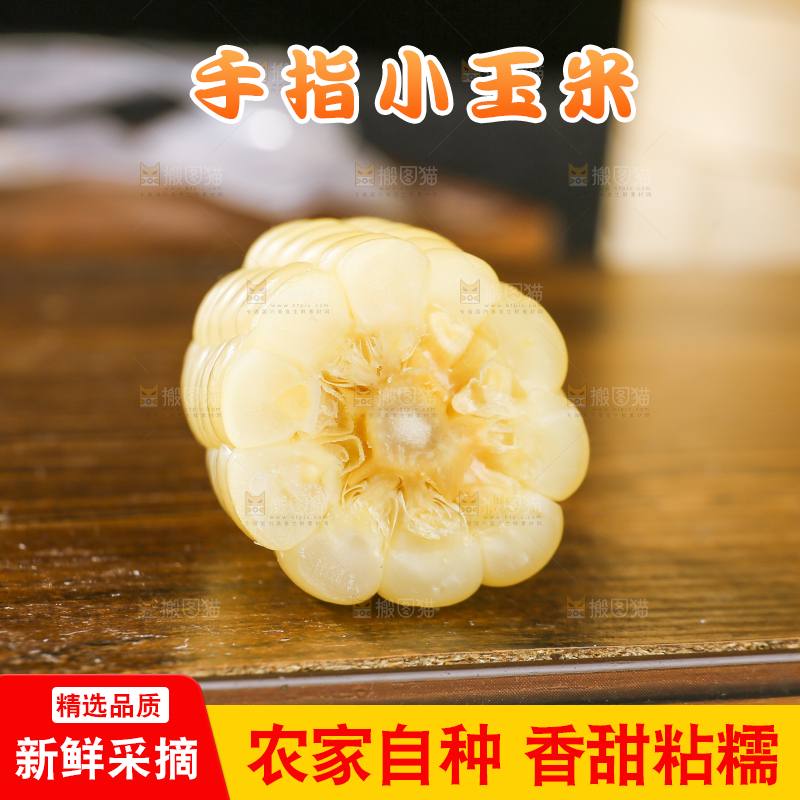 深底上的拇指小玉米
