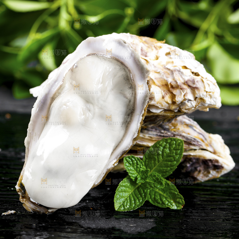深底上的乳山生蚝
