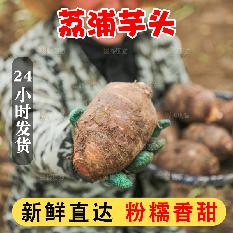 手里拿着荔浦芋头