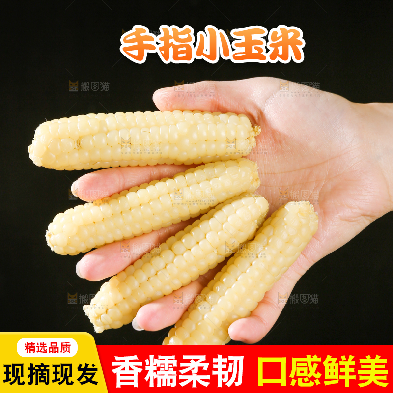 深底上的拇指小玉米