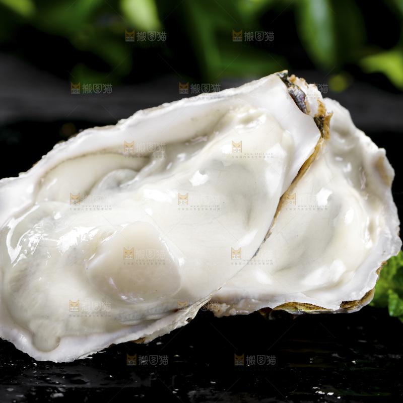 深底上的乳山生蚝