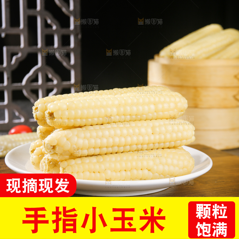 深底上的拇指小玉米