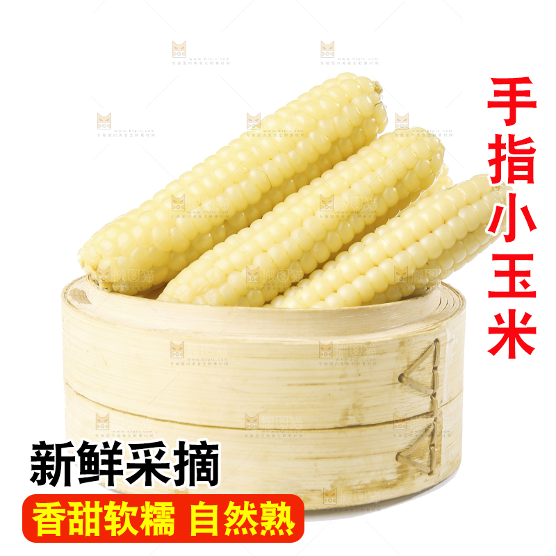 白底上的手指糯玉米