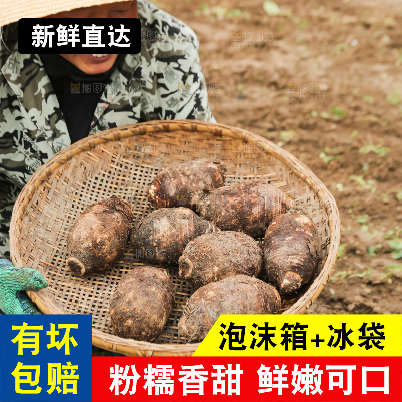 手里拿着荔浦芋头