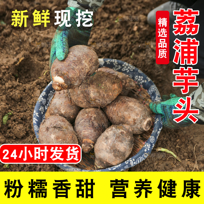 手里拿着荔浦芋头