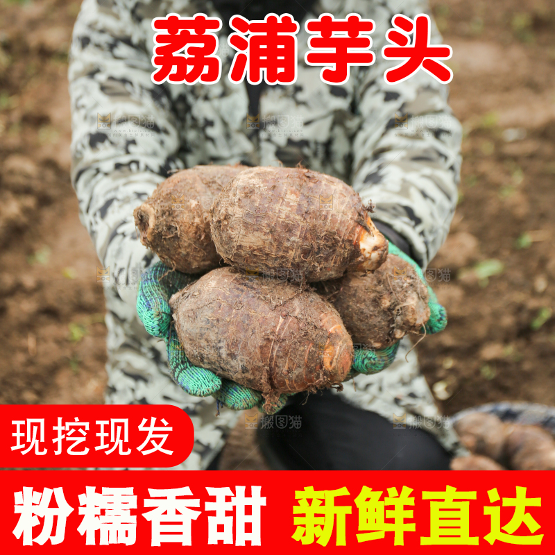 手里拿着荔浦芋头