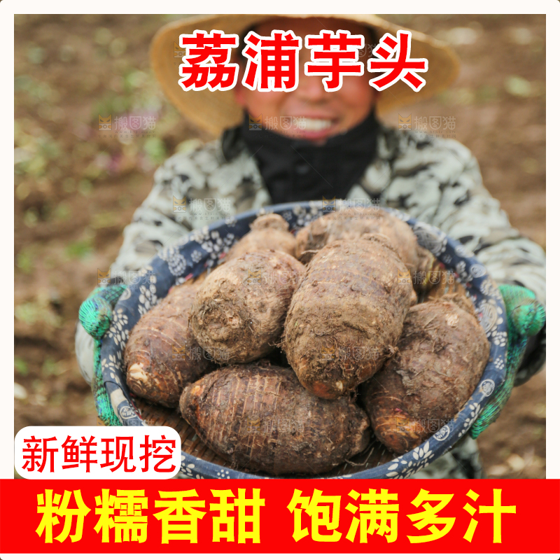 手里拿着荔浦芋头