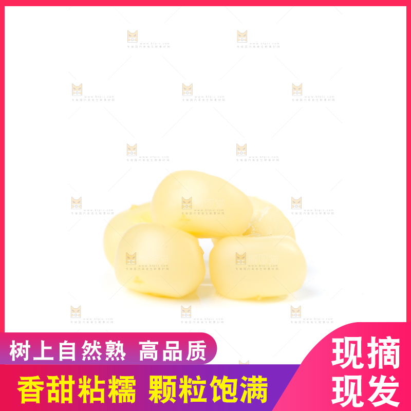 白底上的手指糯玉米