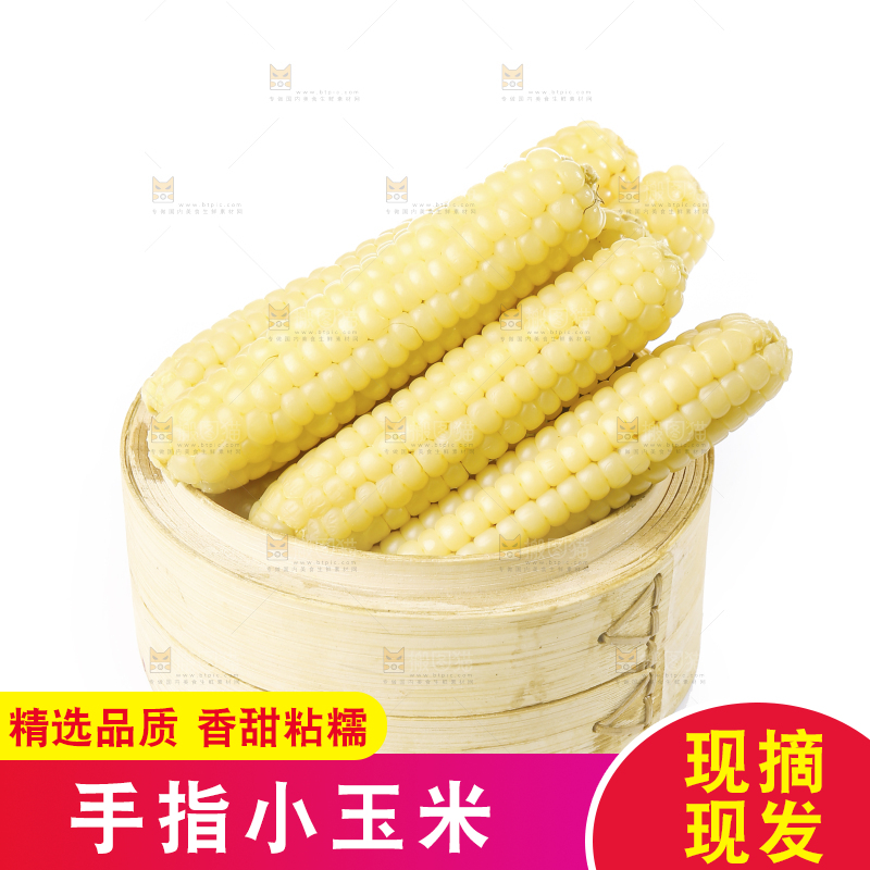 白底上的手指糯玉米