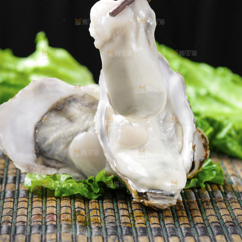 深底上的乳山生蚝