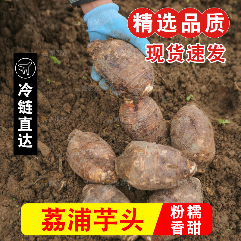 手里拿着荔浦芋头