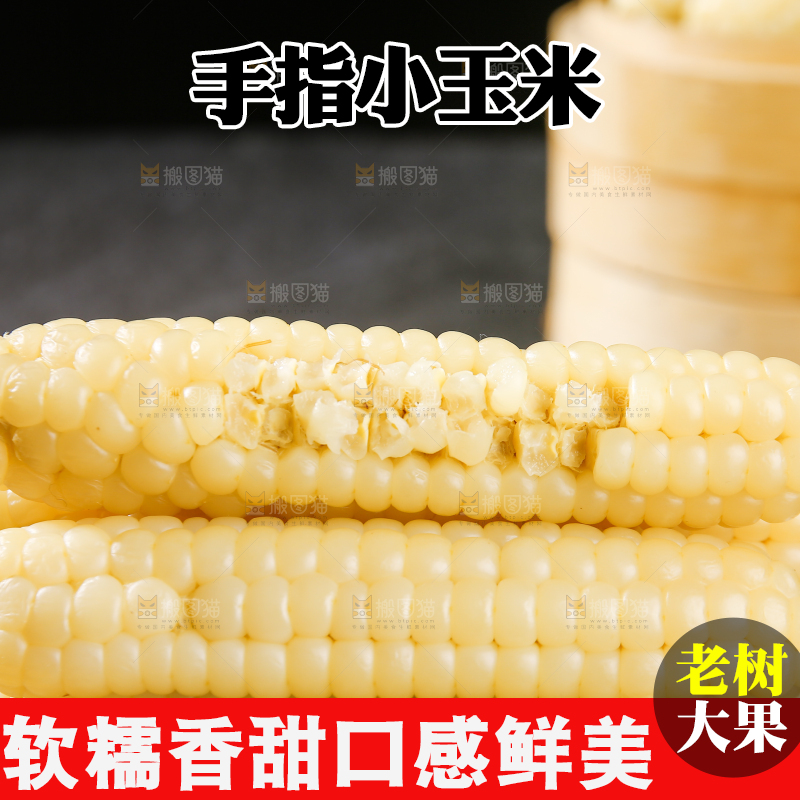 深底上的拇指小玉米