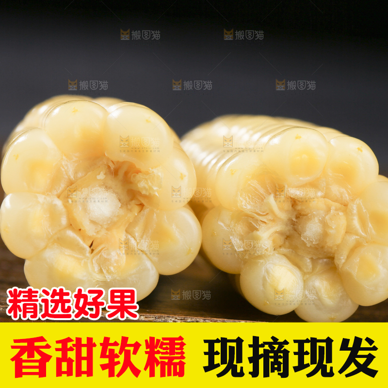 深底上的拇指小玉米
