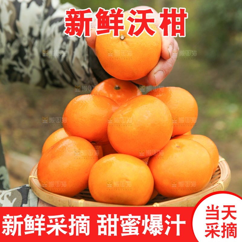 手里拿着沃柑