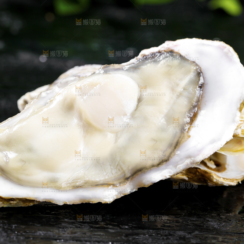 深底上的乳山生蚝