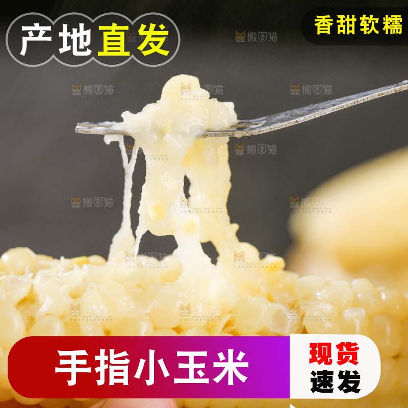深底上的拇指小玉米