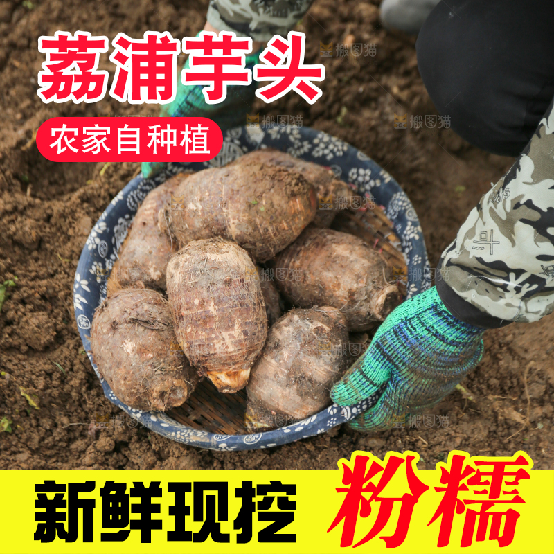 手里拿着荔浦芋头