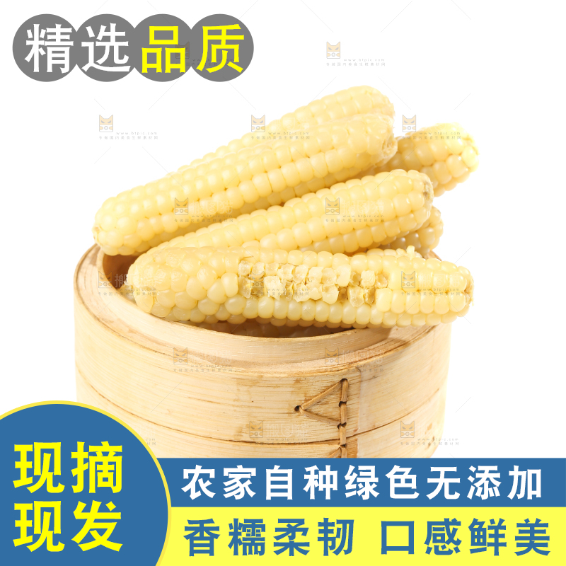 白底上的手指糯玉米