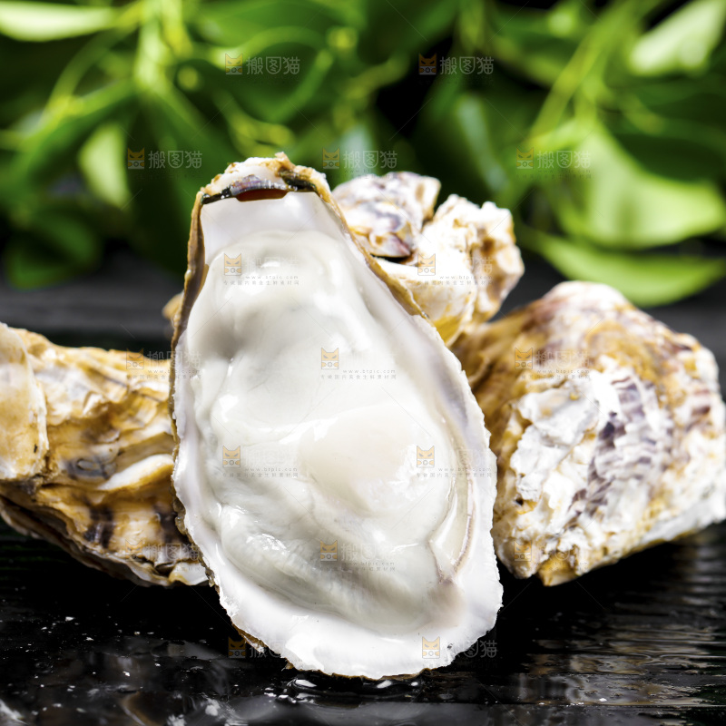 深底上的乳山生蚝