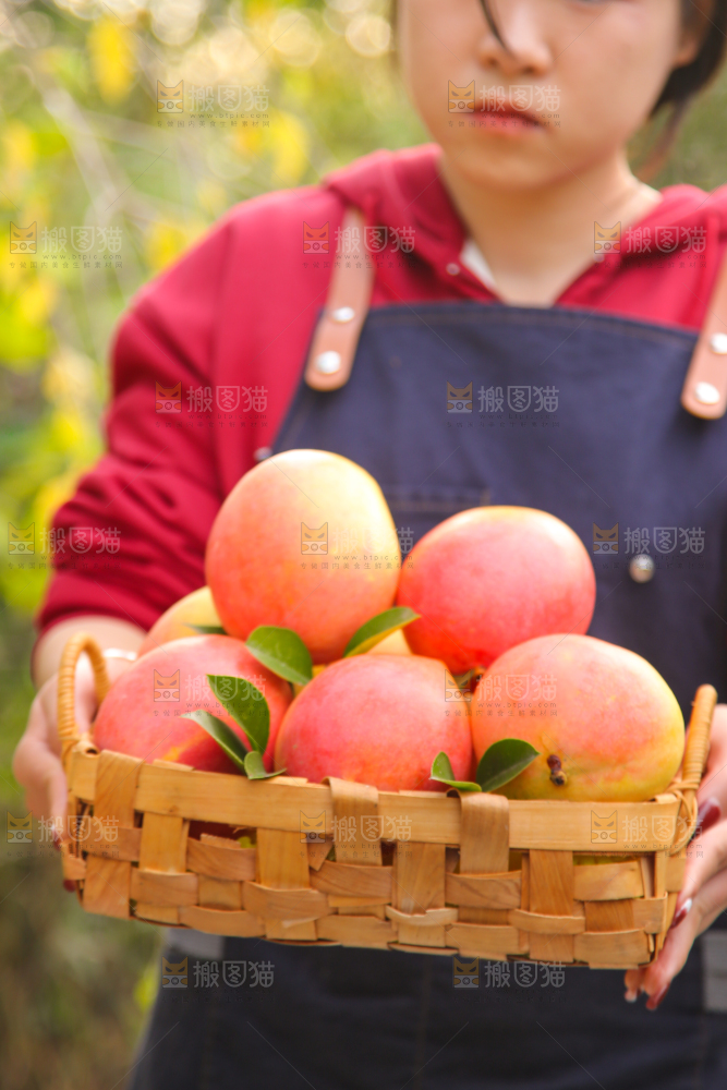 手里拿着新鲜澳芒