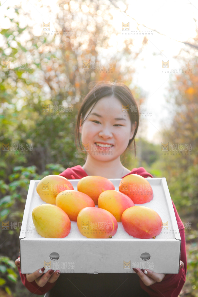 手里拿着新鲜澳芒