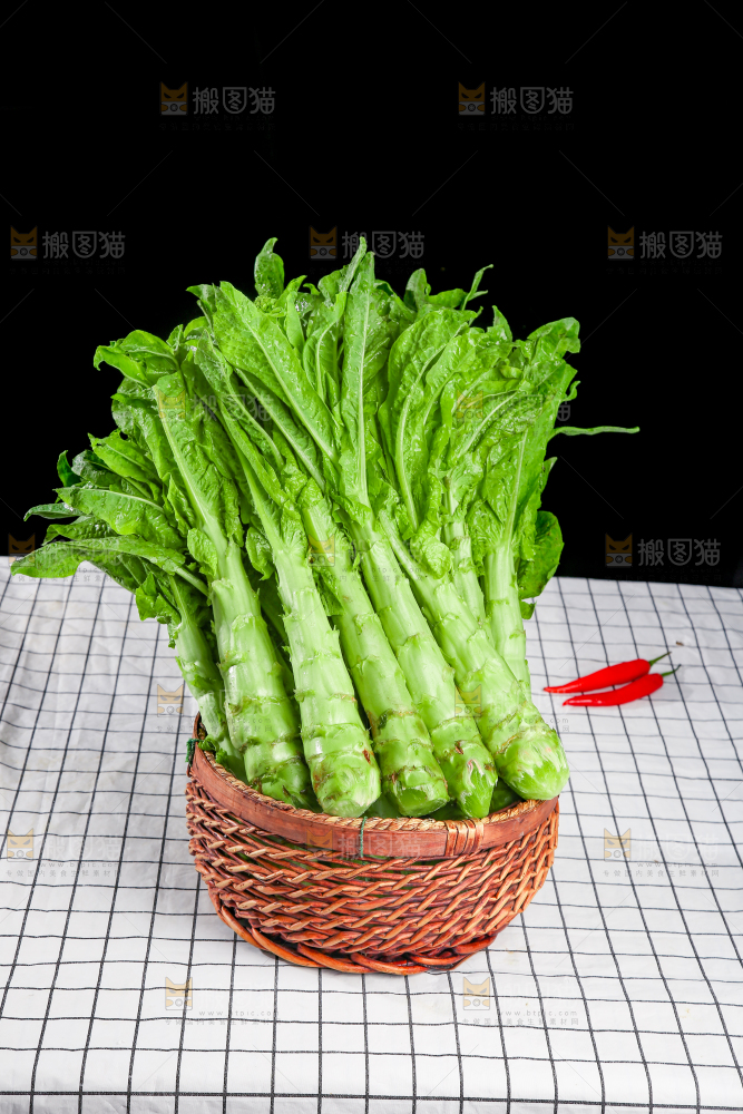 浅底上的莴笋