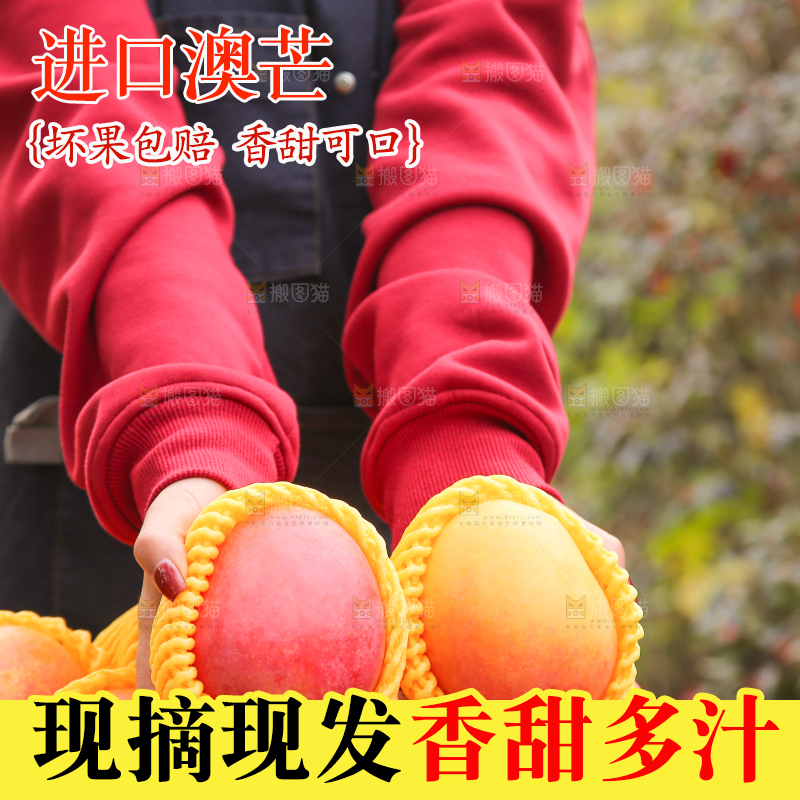 手里拿着新鲜澳芒