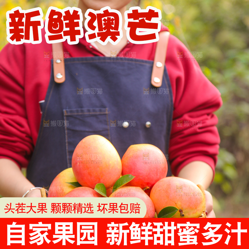 手里拿着新鲜澳芒