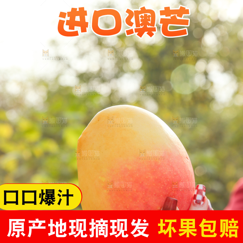 手里拿着新鲜澳芒