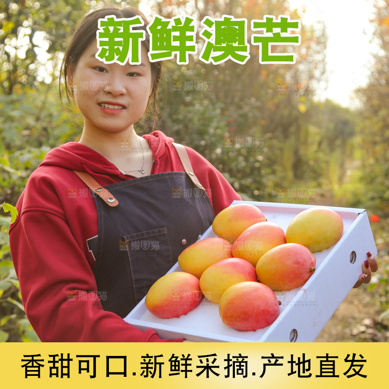 手里拿着新鲜澳芒