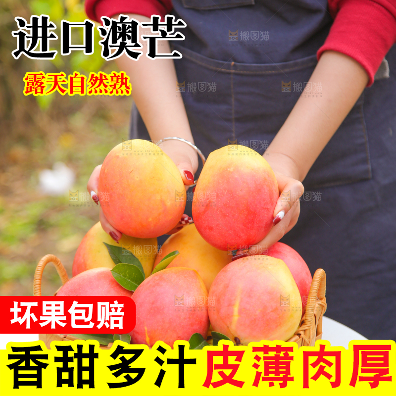 手里拿着新鲜澳芒