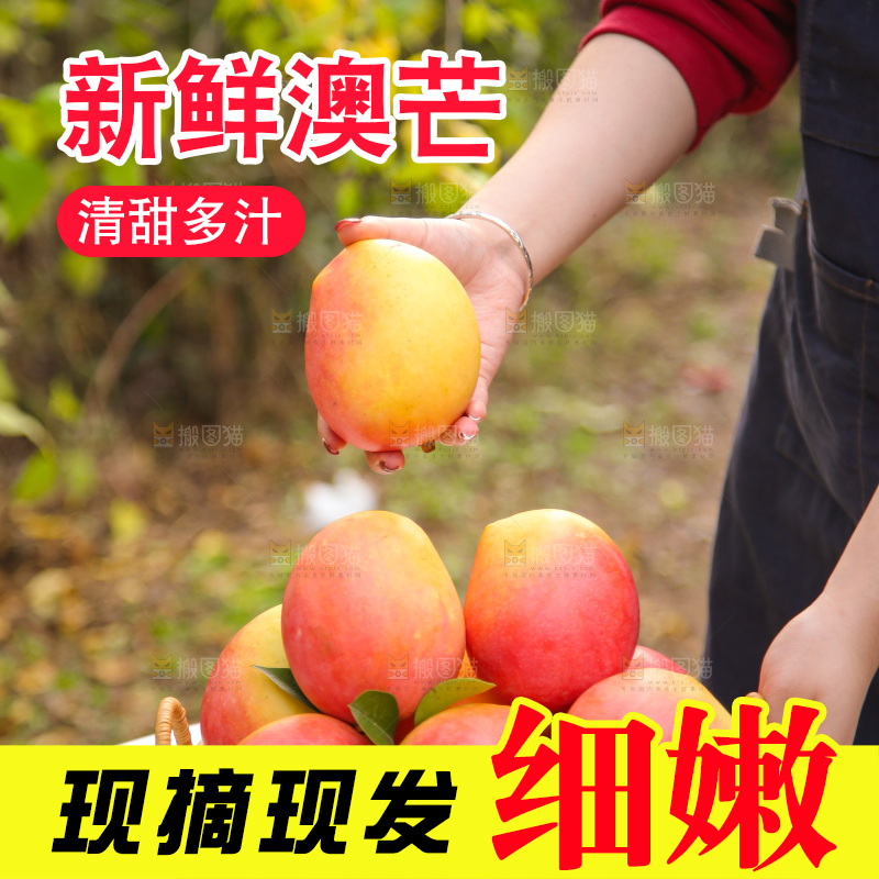 手里拿着新鲜澳芒