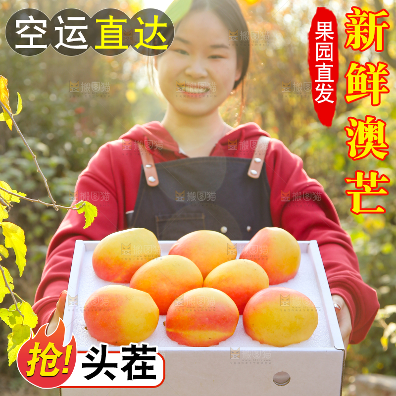 手里拿着新鲜澳芒
