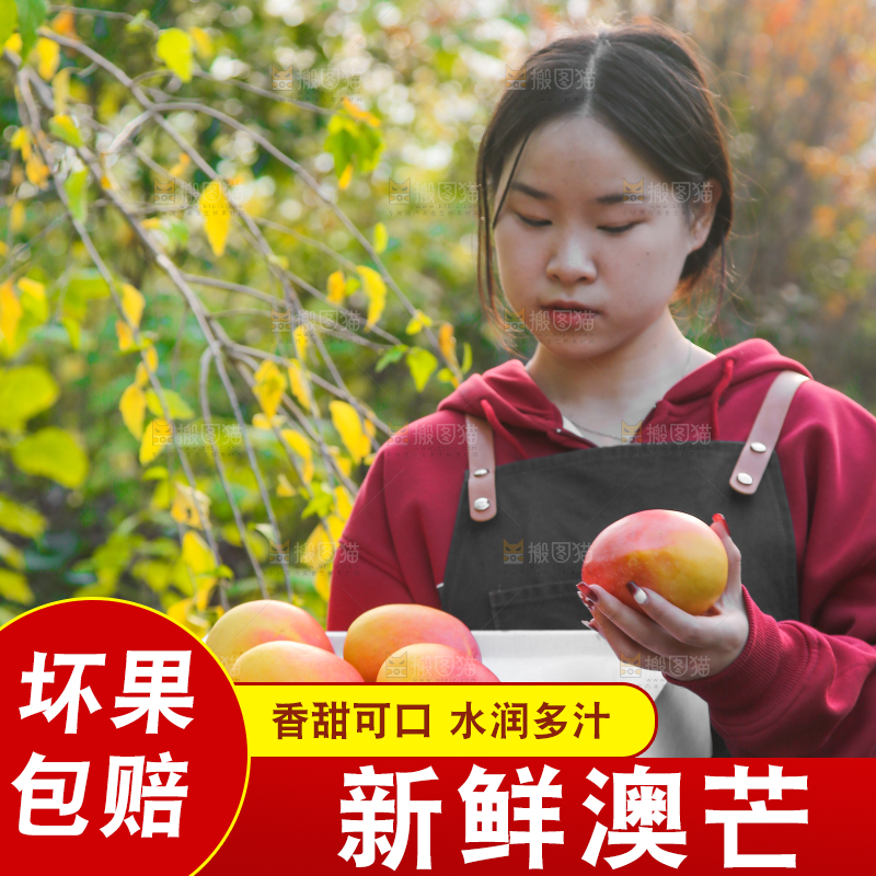 手里拿着新鲜澳芒