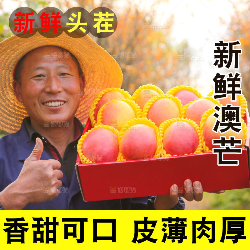 手里拿着新鲜澳芒