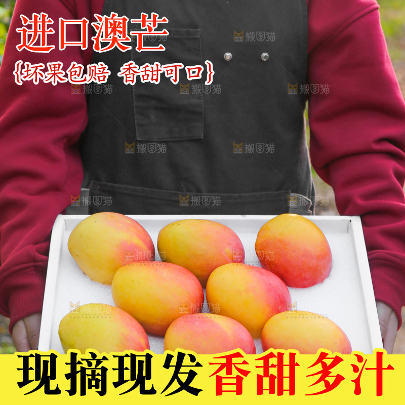 手里拿着新鲜澳芒
