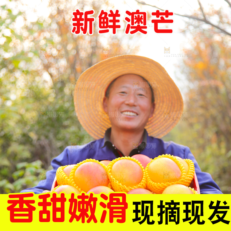 手里拿着新鲜澳芒