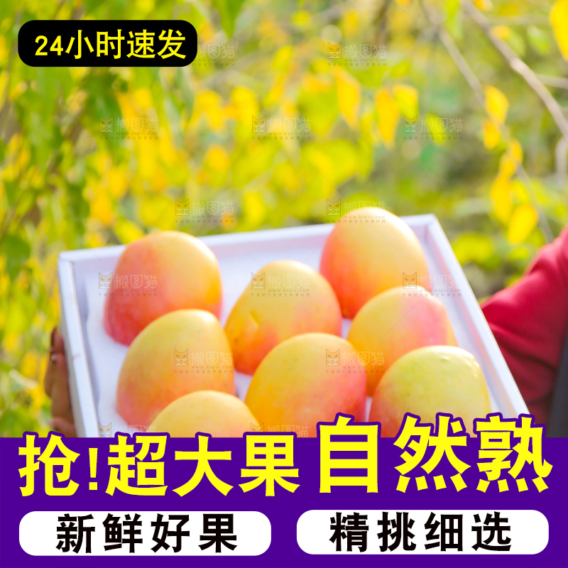 手里拿着新鲜澳芒