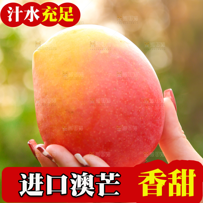 手里拿着新鲜澳芒