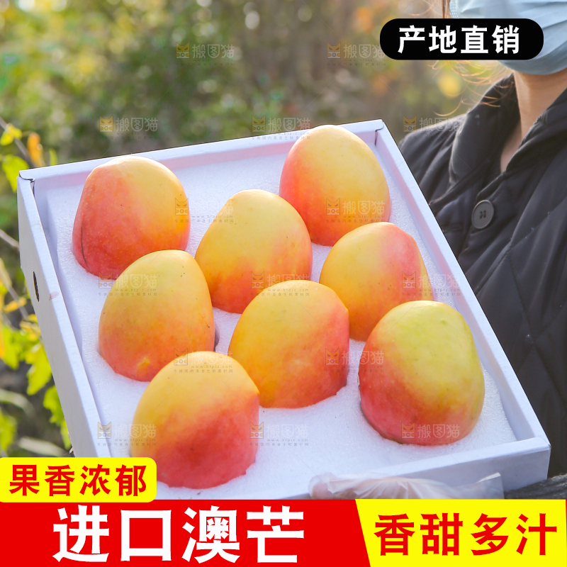 手里拿着新鲜澳芒