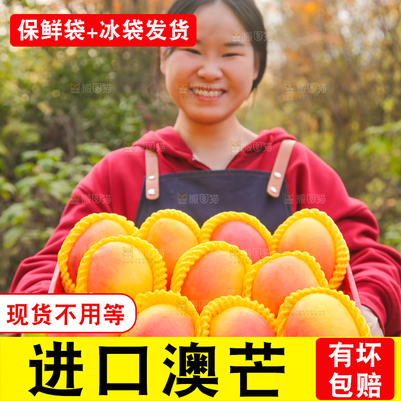 手里拿着新鲜澳芒