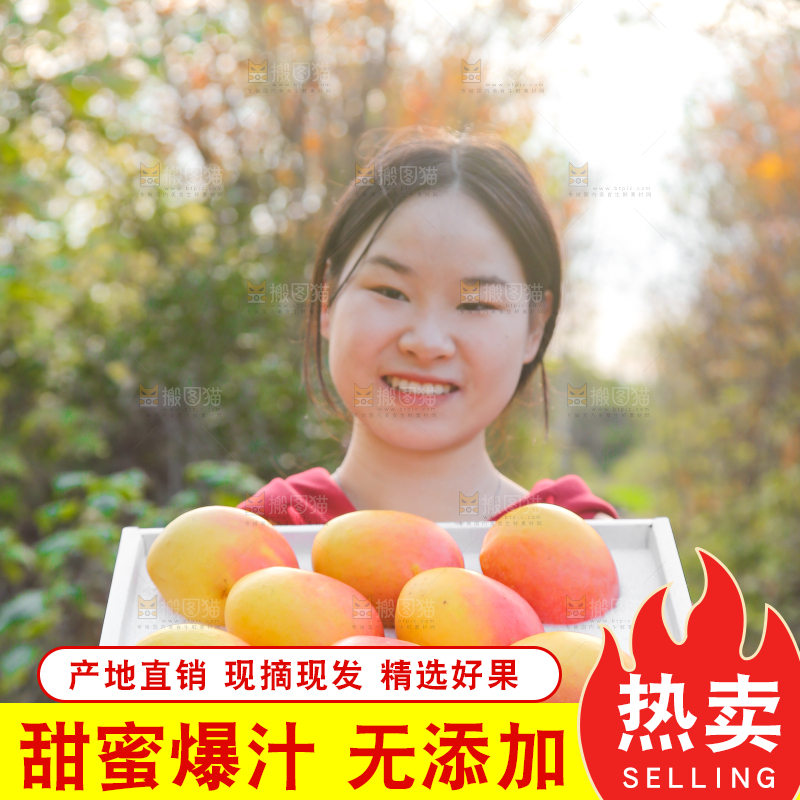 手里拿着新鲜澳芒