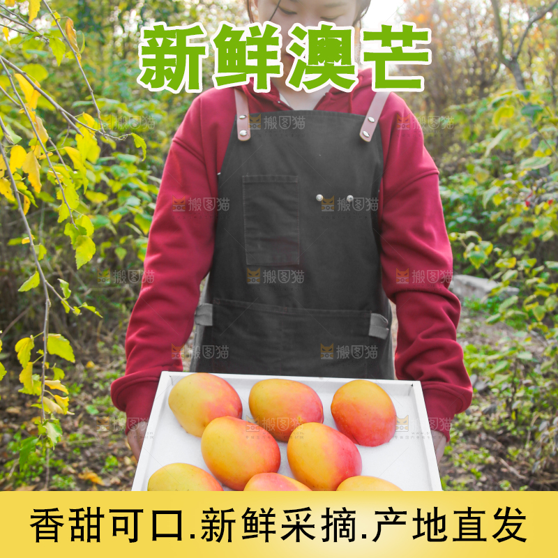 手里拿着新鲜澳芒