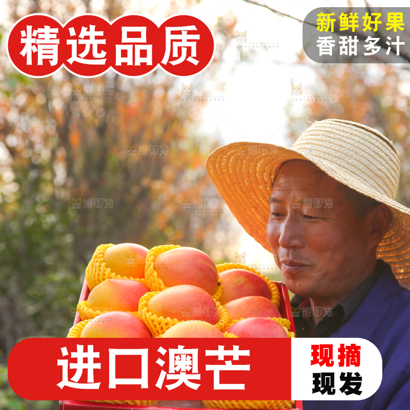 手里拿着新鲜澳芒