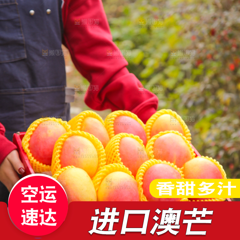 手里拿着新鲜澳芒