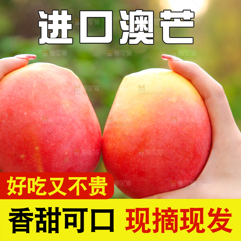 手里拿着新鲜澳芒