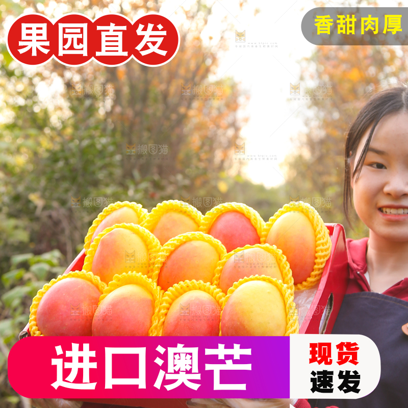 手里拿着新鲜澳芒