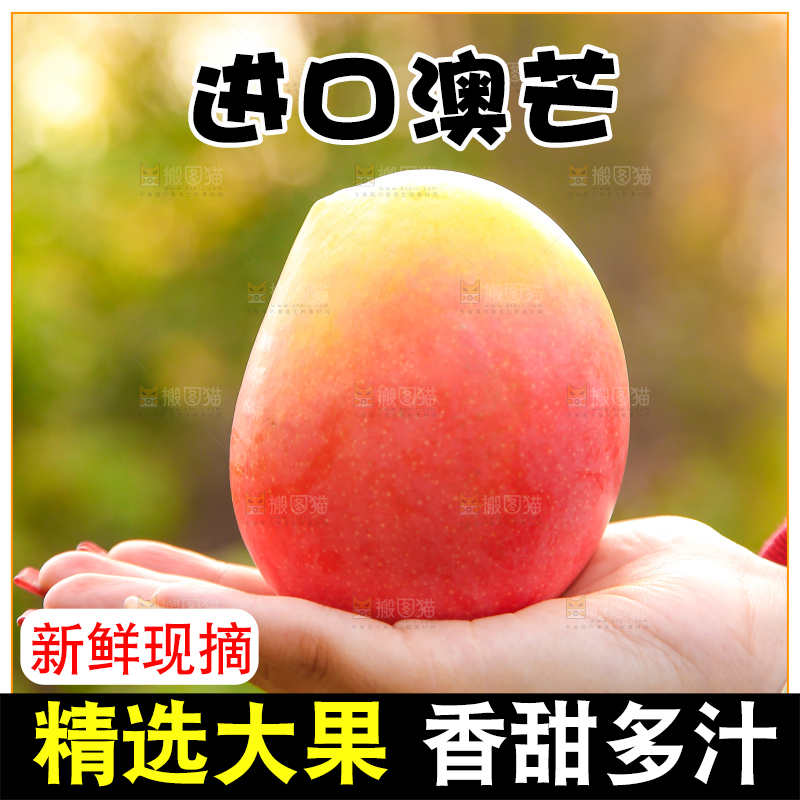 手里拿着新鲜澳芒